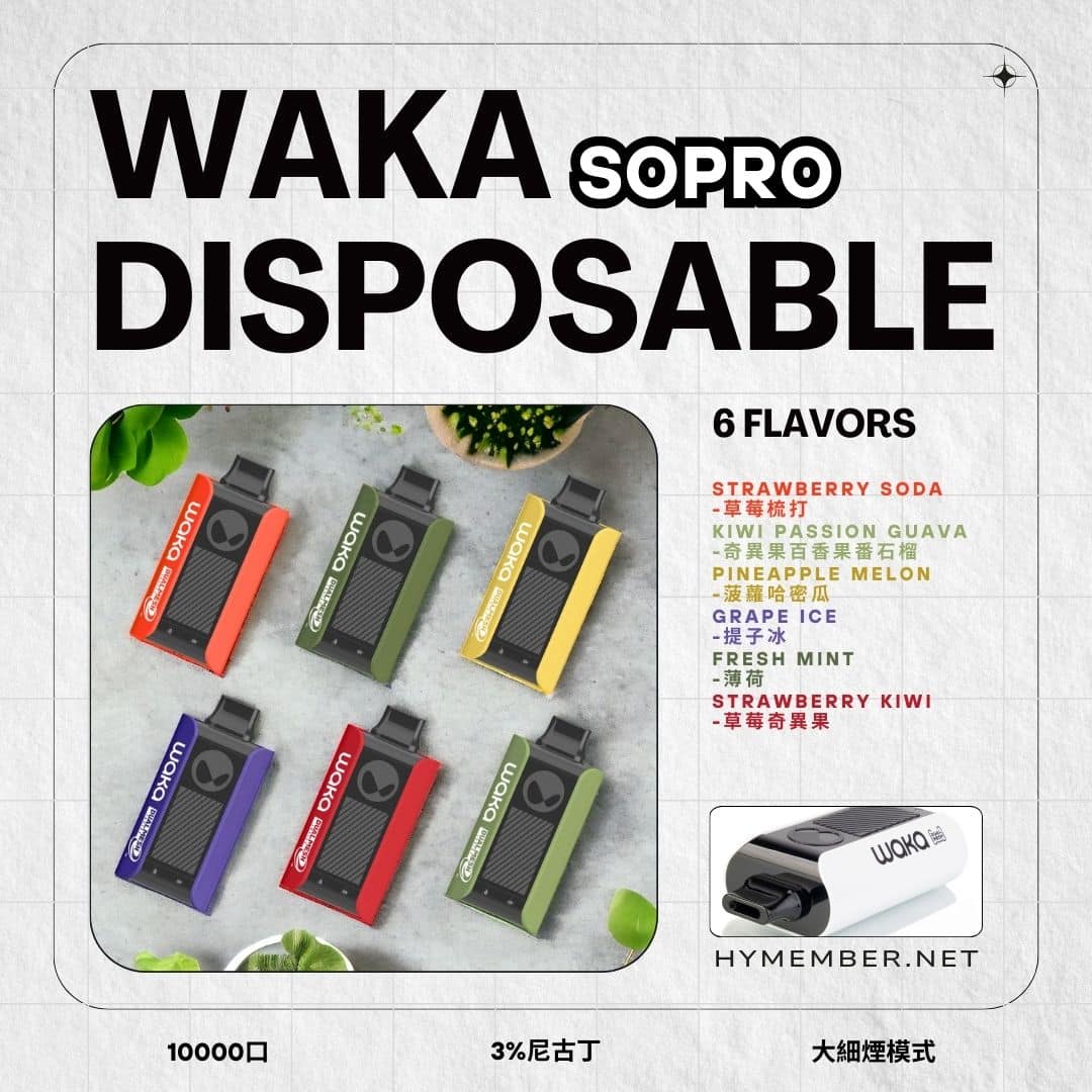 waka sopro 一 次性電子煙 多種口味